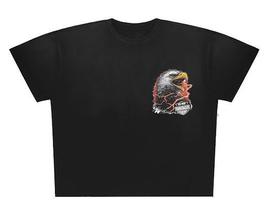 Franklin&cleve eagle HD